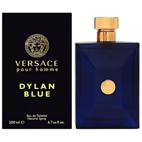 versace light blue notes|versace cologne for men blue.